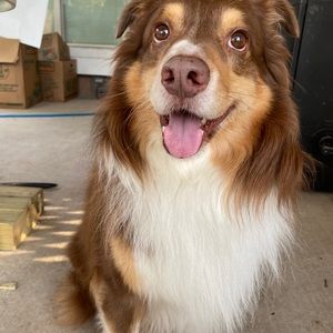 Meet your Posher, Terry